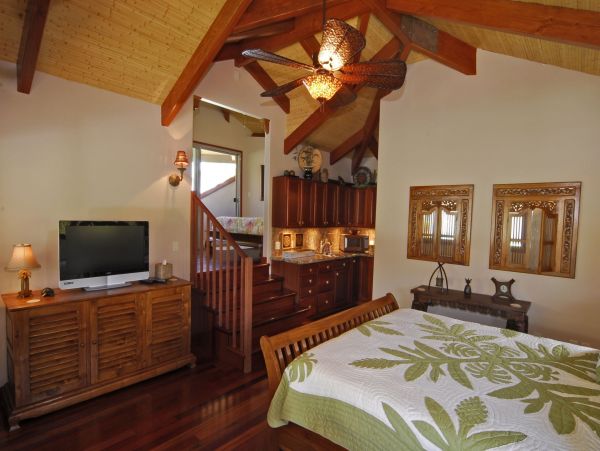 Kohala Coast Home 985232