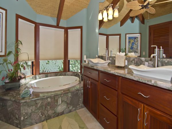 Kohala Coast Home 985232