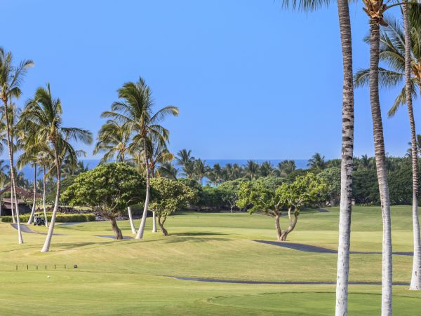 Kailua Kona Home 985233