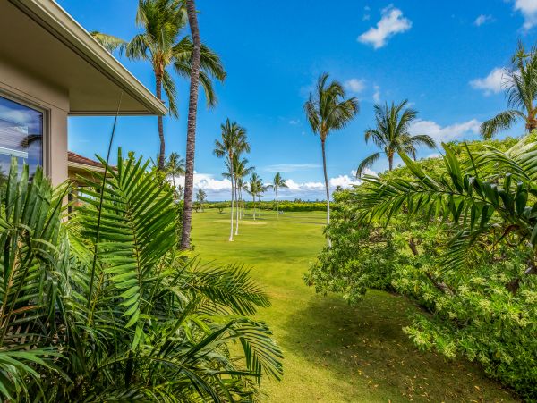 Kailua Kona Home 985233