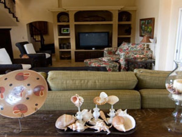 Tamarindo Home 985277
