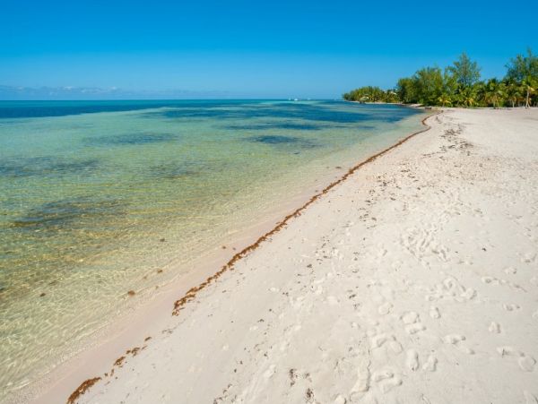 Cayman Kai Luxury Beach Vacation Villa