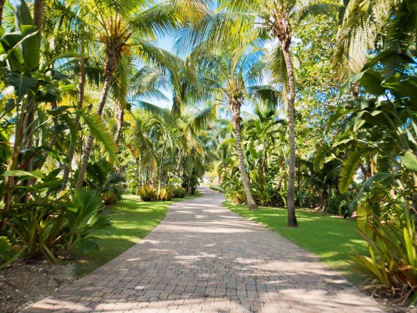 Cayman Islands Home 985332