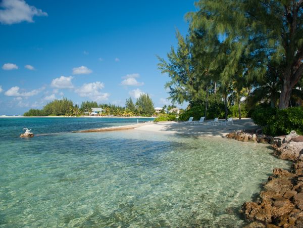 Beachfront Three Bedroom Vacation Rental in Cayman Islands