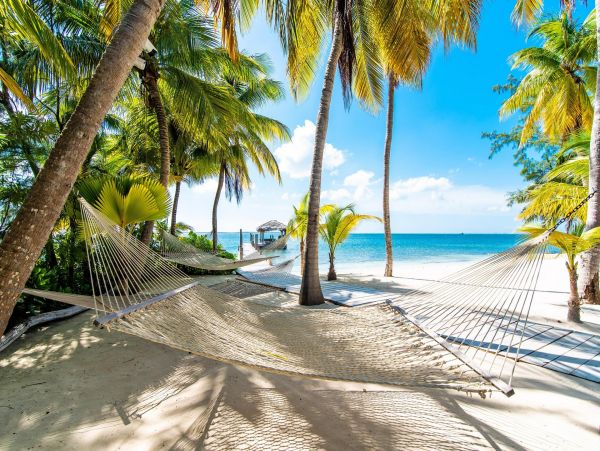 Cayman Islands Home 985346