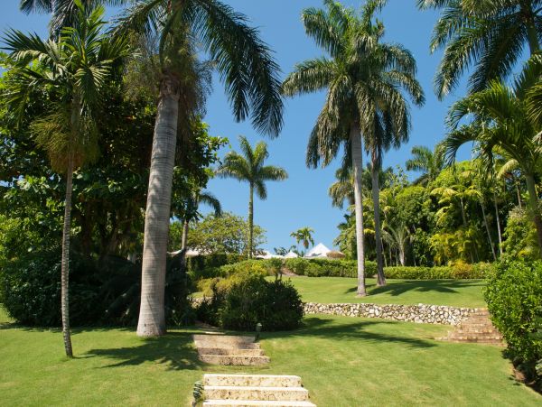 Jamaica Home 985416