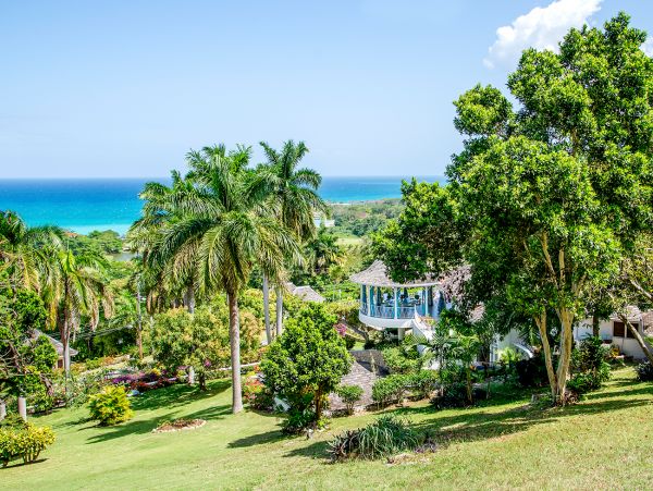 Jamaica Home 985434