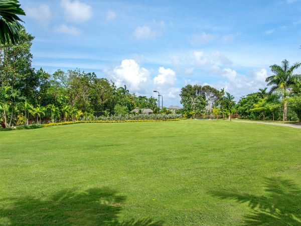 Jamaica Home 985437