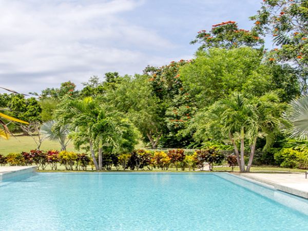 Jamaica Home 985450