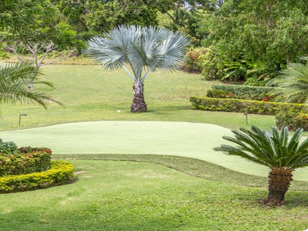 Jamaica Home 985450