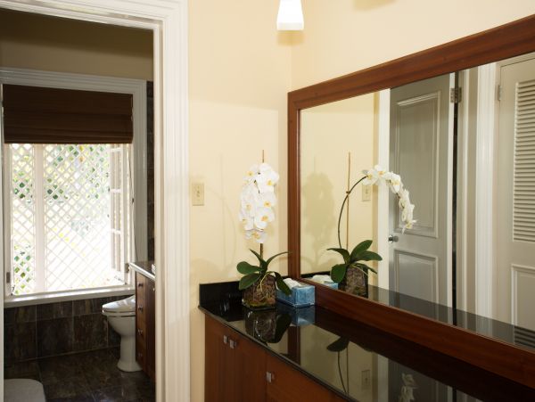 Jamaica Home 985459