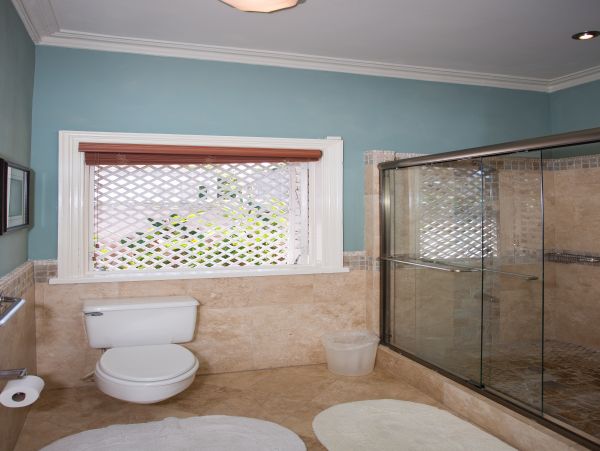 Jamaica Home 985459