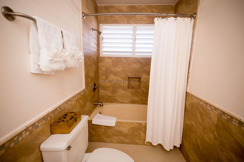 Jamaica Home 985474