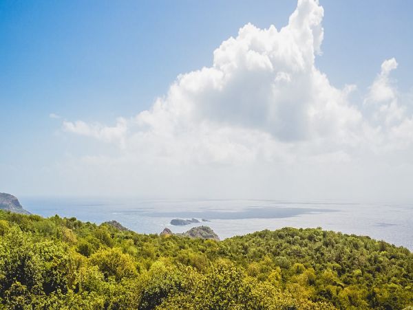 St. Barts Home 985544
