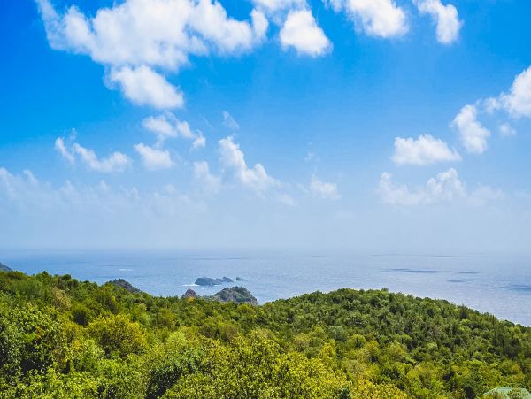 St. Barts Home 985544
