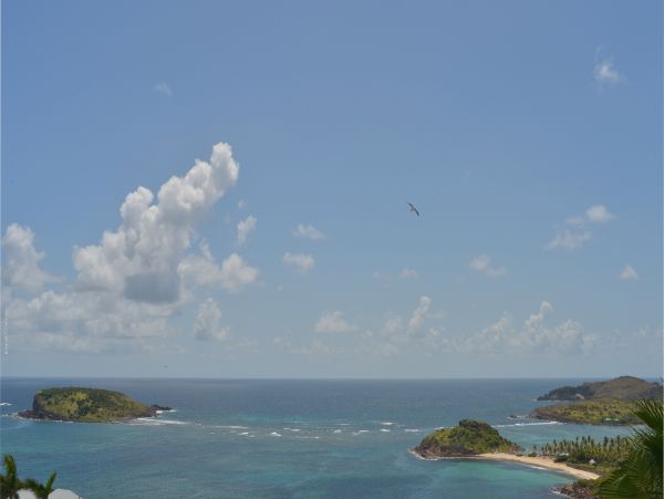St. Barts Home 985581