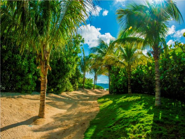 St. Barts Home 985602
