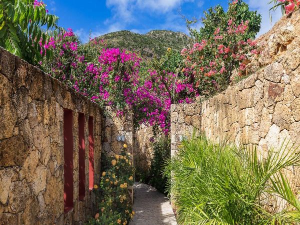 St. Barts Home 985605