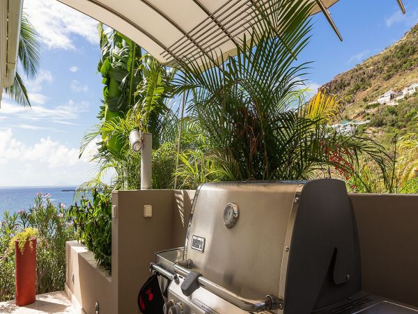 St. Barts Home 985605