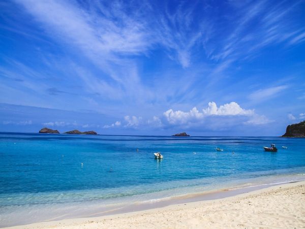 St. Barts Home 985635
