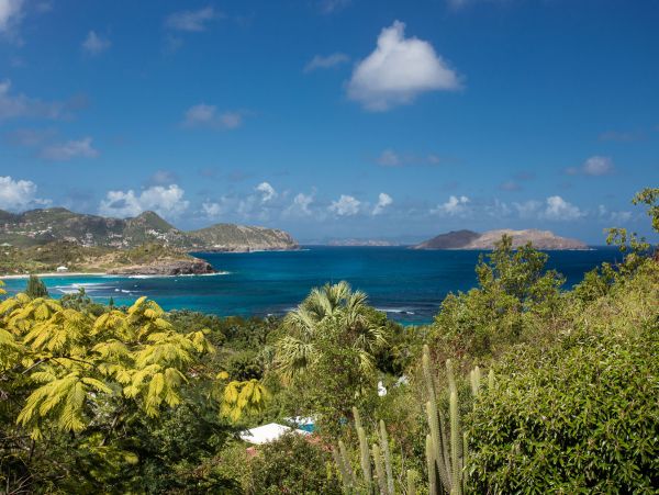 St. Barts Home 985656