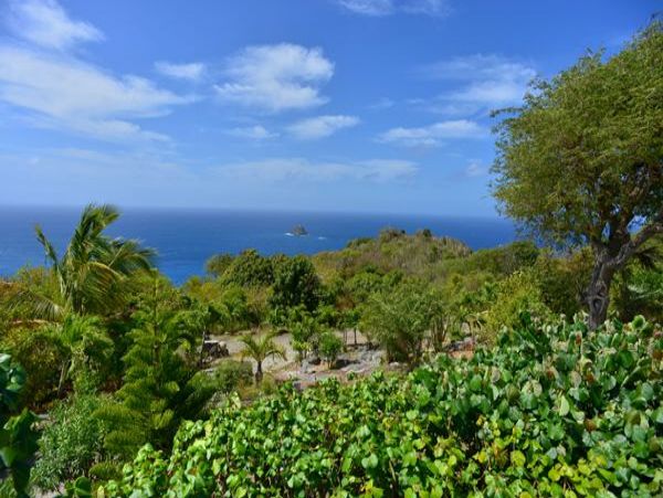 St. Barts Home 985703