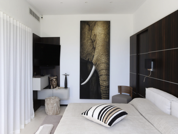 Contemporary Luxury St Barts Vacation Villa