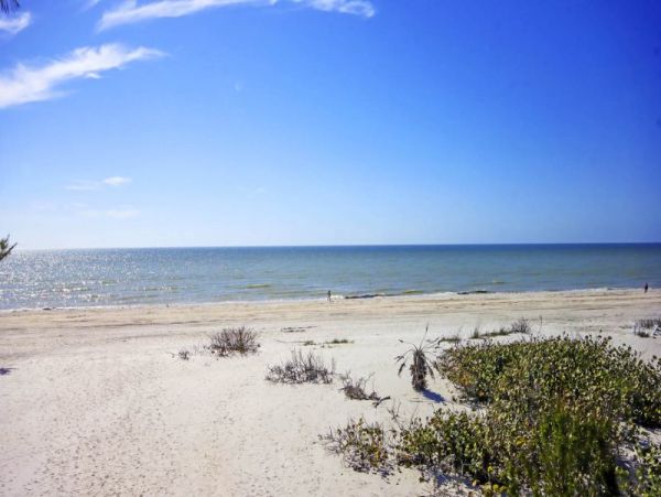 Direct Gulf Front Condo With 3 Bedrooms Sleeps 8 Guests