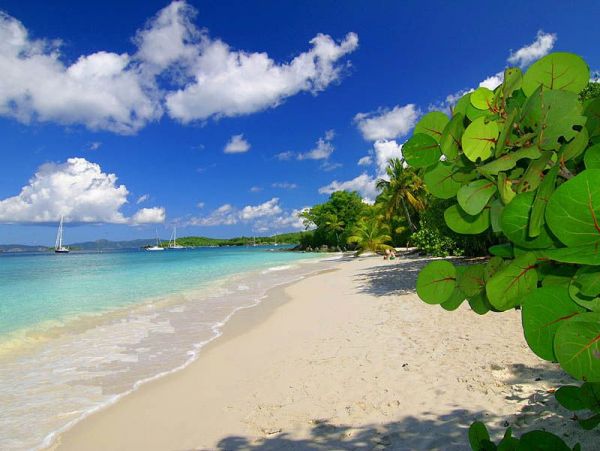 St. John Home 985841
