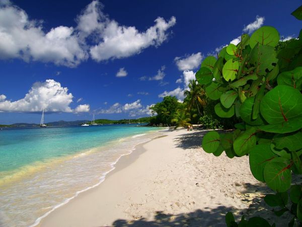 St. John Home 985844