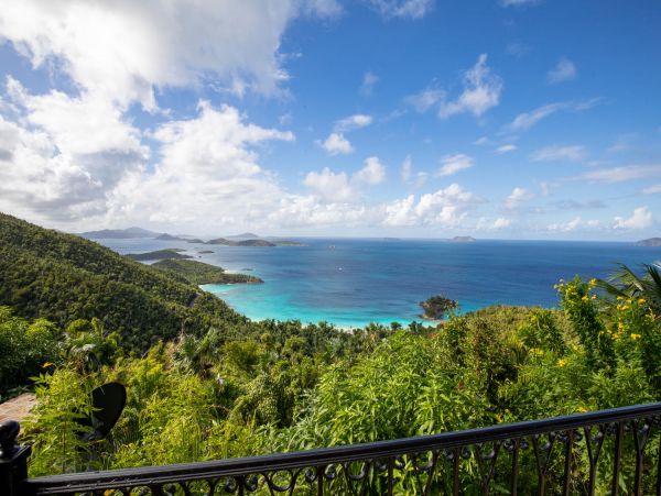 Peter Bay Estate