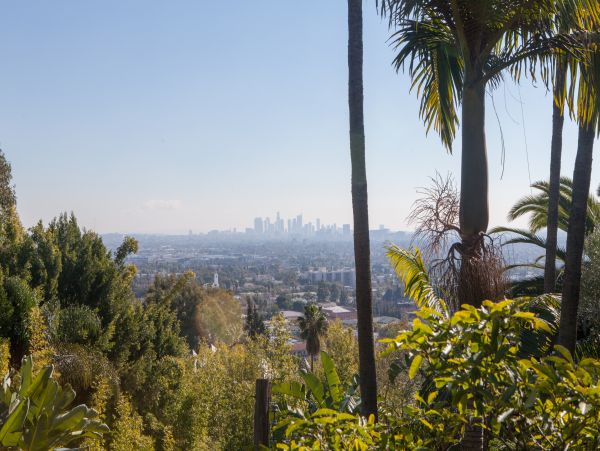 Los Angeles Home 985859
