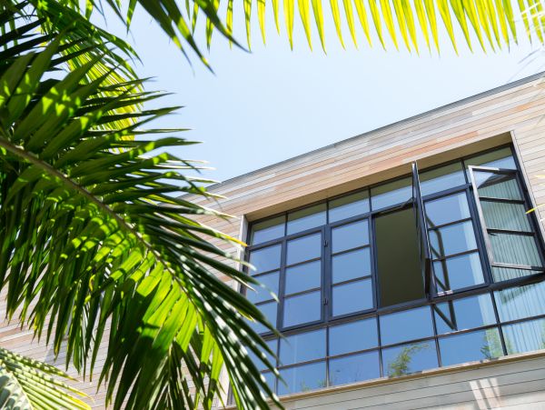 Venice Beach Home 985871