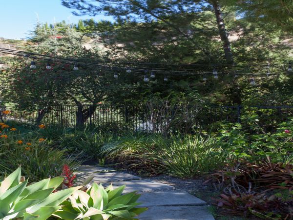 Los Angeles Home 985874