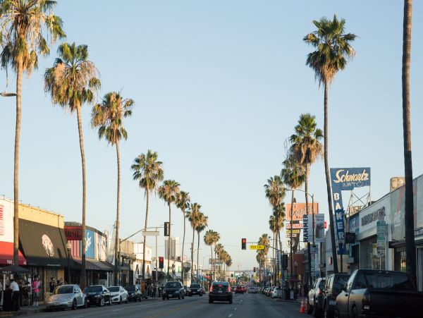 Los Angeles Home 985875