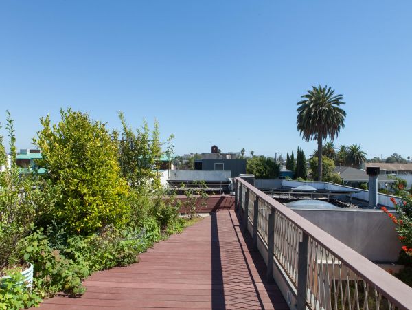 Venice Beach Home 985876
