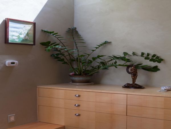 Venice Beach Home 985876