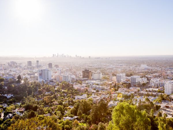 Los Angeles Home 985877