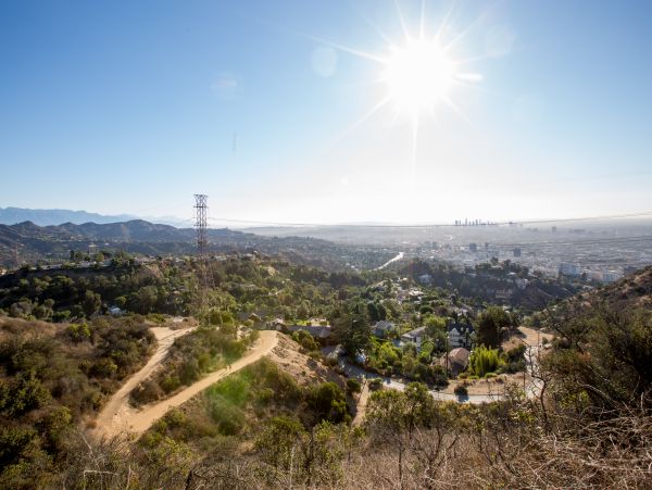 Los Angeles Home 985899