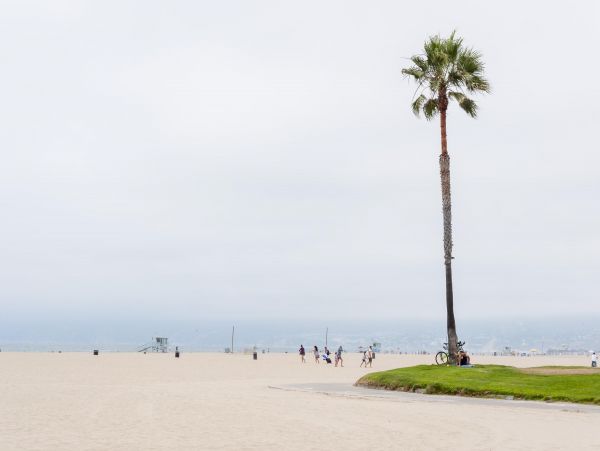 Venice Beach Home 985900