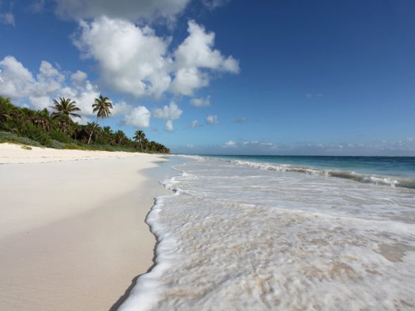 Tulum Home 986018