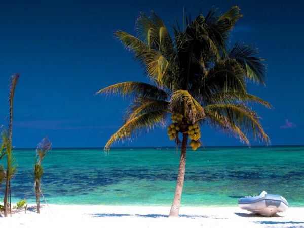 Tulum Home 986021