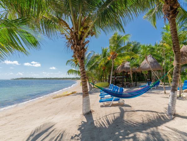 Tulum Home 986023