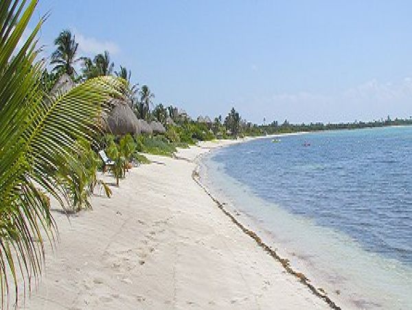 Tulum Home 986053