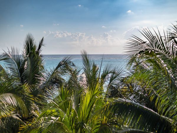 Tulum Home 986054