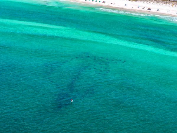 Destin Home 986158
