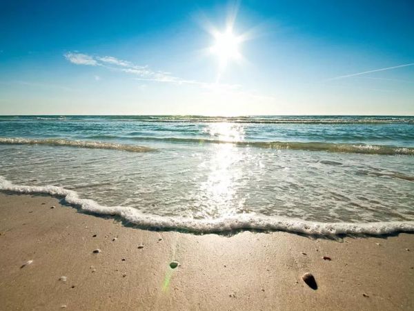 Beautiful 3 Bedroom Vacation Condo On Beach in Siesta Key