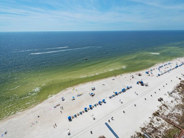 Panama City Beach Condo 986240