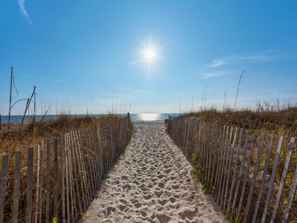Panama City Beach Condo 986269