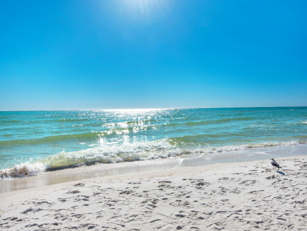 Gulf-front 3 Bedroom Vacation Condo in Panama City Beach